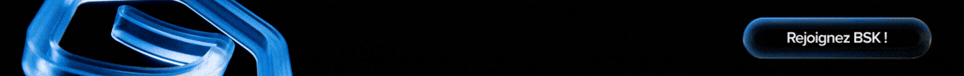 BSK Immobilier