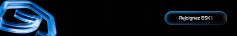 BSK Immobilier